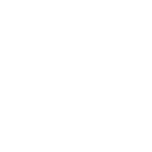 artista-1