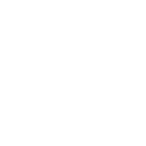 artista-6